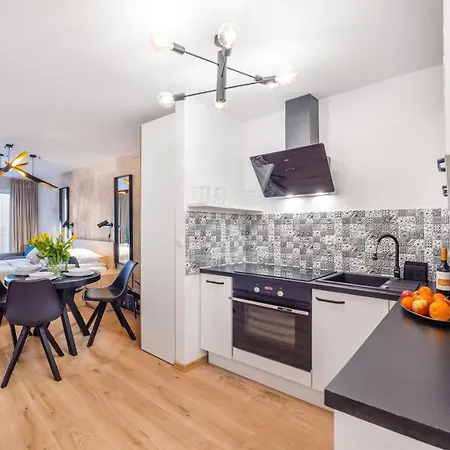 Apartment Deluxe Loft 33 C Perlowa Przystan -