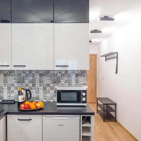 Apartament Deluxe Loft 33 C Perlowa Przystan -